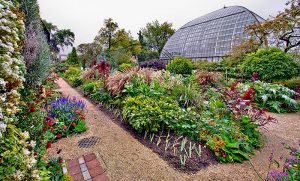 Garfield Park Conservatory